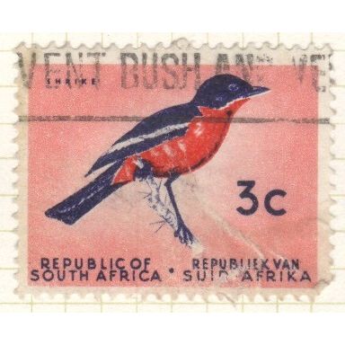 South Africa 1961 - SG 243 - 3c Burchell's Gonolek - used 2