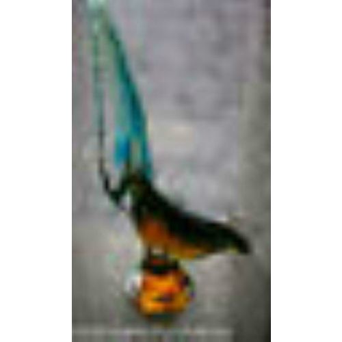 VINTAGE MURANO GLASS Italian Venini Glass Exotic Bird Figure