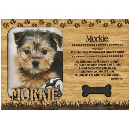 Morkie Engraved Wood Picture Frame Magnet