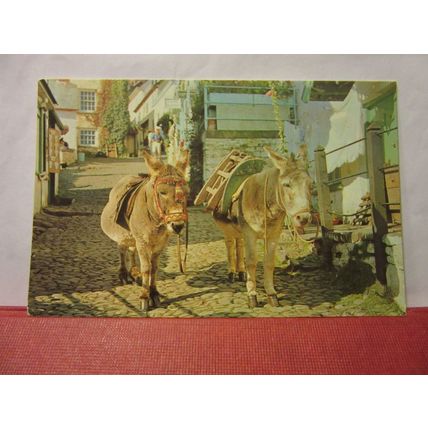 DONKEYS, 'PETER & PAUL', CLOVELLY, DEVON used postcard =
