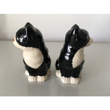 SALT & PEPPER SHAKERS - BLACK AND WHITE CATS