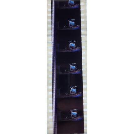 Back to the Future 2. Pk HCH - A002b . - 1 STRIP OF 5 - 35MM FILM CELLS