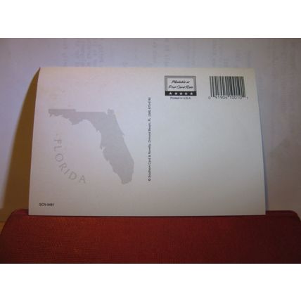 MAP OF FLORIDA, USA unused postcard #