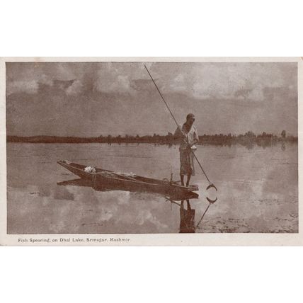 Fish Spearing Dhal Lake Srinagar Kashmir India Old Postcard