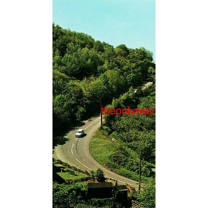 Porlock Hill, Somerset, Plastichrome Colourpicture, Postcard