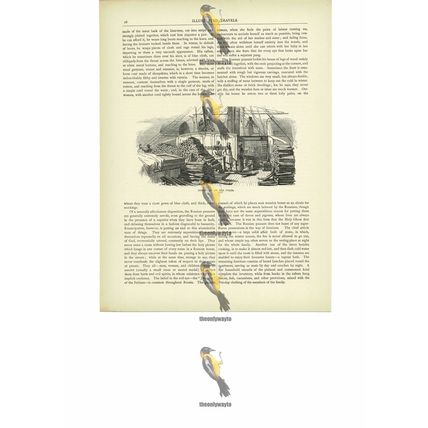 Steamboat On The Volga, Russia, Book Illustration (Print), c1880
