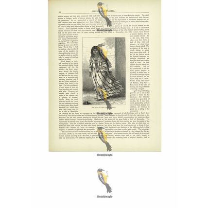 Belle Of The Guajiro Village, Maracaibo, Book Illustration (Print), c1880