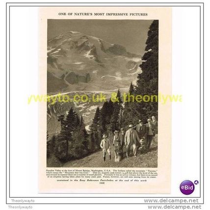 PARADISE VALLEY, MOUNT RAINIER, WASHINGTON, USA, Book Illustration, c1925