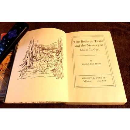 The Bobbsey Twins At Snow Lodge 1960 By Laura Lee Hope Great Shape