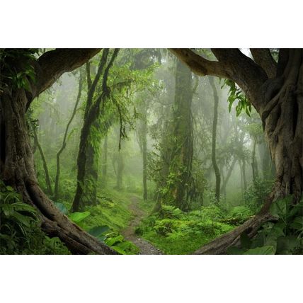 AOFOTO 8X6Ft Forest Backdrop Tropical Jungle Rainforest Backdrops for Photograph