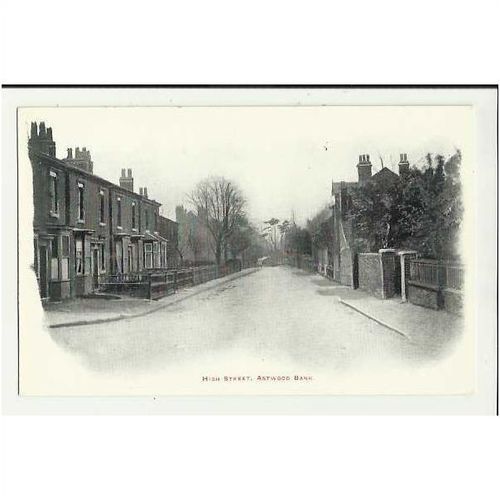 Worcestershire ASTWOOD BANK High Street Postcard by Hodges