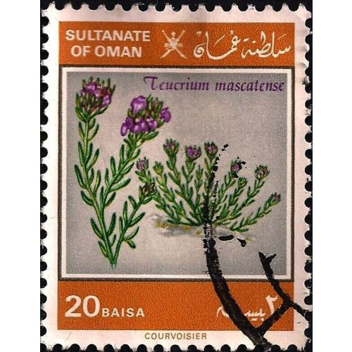 OMAN, FLOWERS, Boiss, orange 1982, 20 baisa