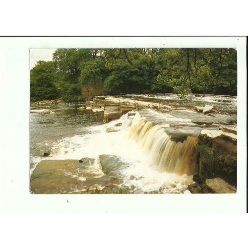 Yorkshire RICHMOND River Swale Postcard by Pedley (040)