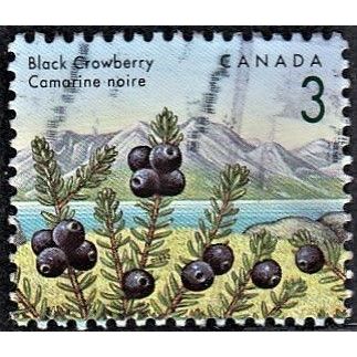 CANADA, 1991 3c Black Crowberry, SG 1462 (Scott #1351), used