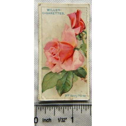 1926 Wills Roses No. 40 Mrs. Henry Morse