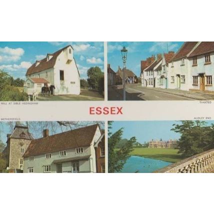 Sible Hedingham Mill + Horse Nr Halstead Thaxted Audley End Essex 70s Postcard