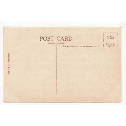 Ladies Vegetables Ceylon Postcard Publisher John & Co