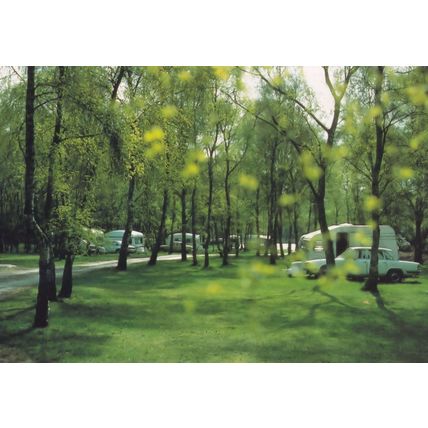 Sandringham Caravan Club Camping Site Norfolk Postcard
