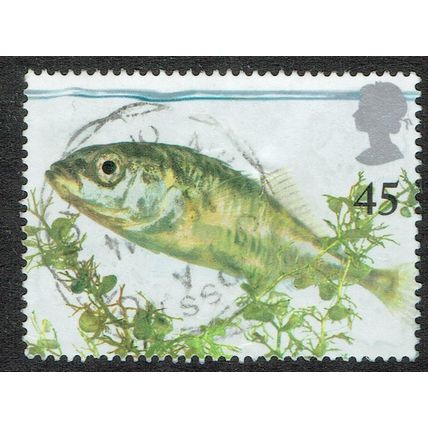 2001 Europa Pond Life 45p Multicoloured SG2222 FU