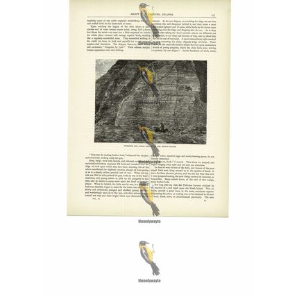 Guano Deposit, Middle Island, Chincha Islands, Peru, Book Illustration, c1880