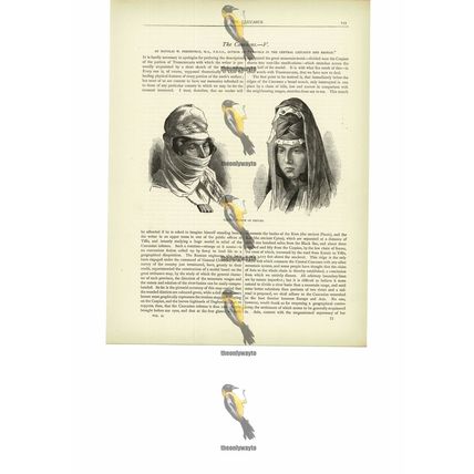 Tartar Women Of Erivan (Yerevan), Armenia, Book Illustration (Print), c1880