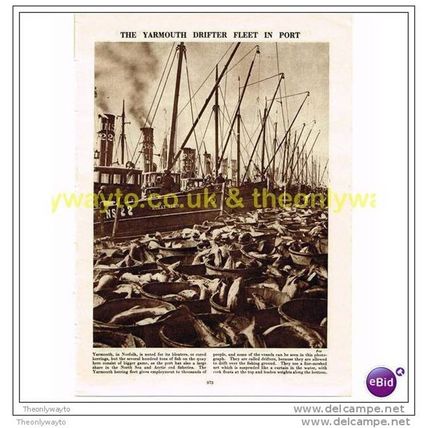 YARMOUTH DRIFTER FLEET, NORFOLK, Book Illustration, c1953
