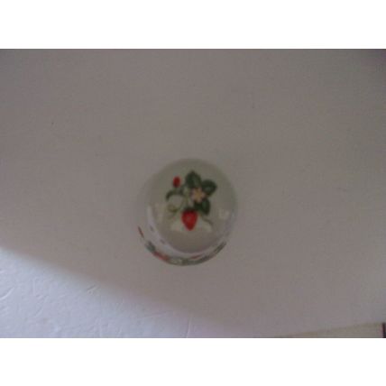 Vintage Avon Strawberry 22k Trim Porcelain Sugar Shaker 1978