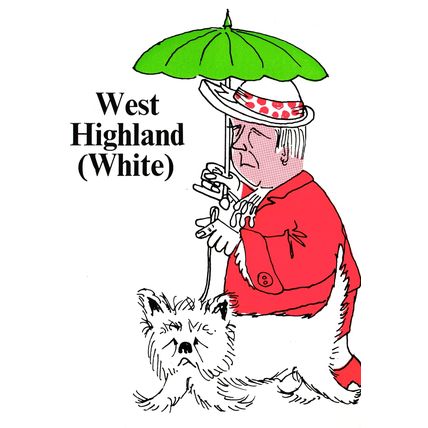 Postcard The Fauna, Horna & Hoofa of Scotland Series No. 27. Unposted