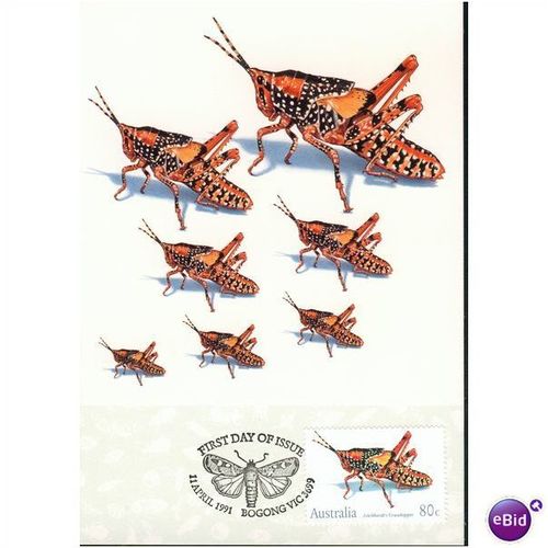 Australia FDI Postcard set 1991 - Insects