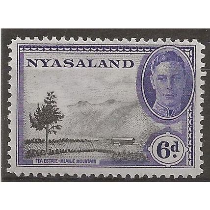 Nyasaland (BCA) 1945 SG150 6d Black & Violet Mounted Mint . .. .