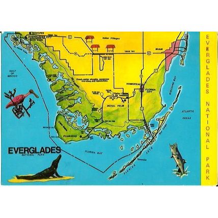 United States FLORIDA EVERGLADES Map Postcard (CD57)