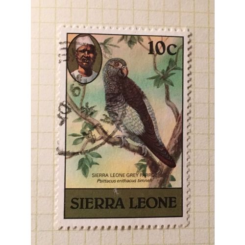 Sierra Leone 1980 Birds 10c Grey Timneh Parrot Used SG 627A postage stamp