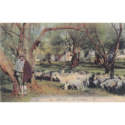 Man Smoking Behind Tree Sheep at Menton Sous Les Oliviers WW1 French Postcard