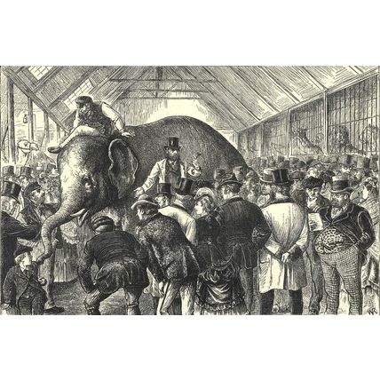 SALE OF A MENAGERIE - ELEPHANTS - LIONS 1872 VICTORIAN ENGRAVINGS