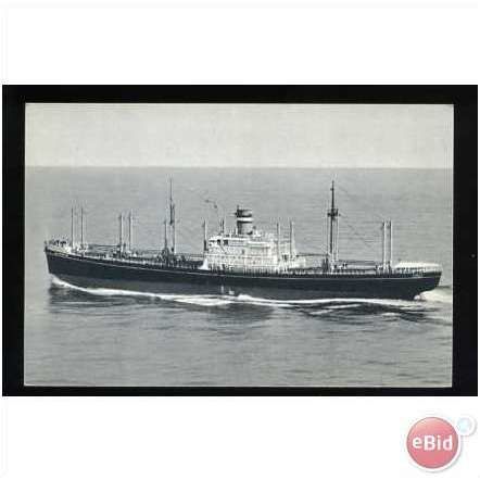 Holland-America Line SS ALMDYK Postcard