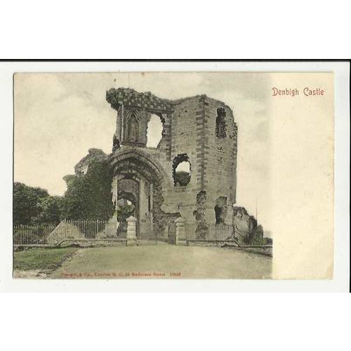 Wales DENBIGH Castle Postcard by Stengel (17526)