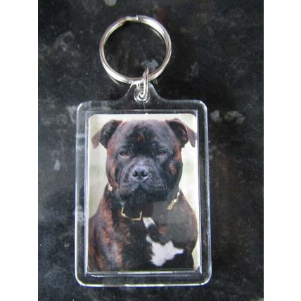 DOG BREED KEY RINGS QUALITY ACRYLIC DOUBLE SIDED PHOTO KEY RINGS 33 BREEDS