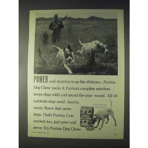 1970 Purina Dog Chow Ad - Power and Stamina
