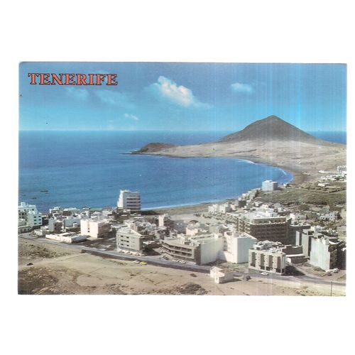 EL MEDANO, TENERIFE, SPAIN unused vintage postcard flowers #