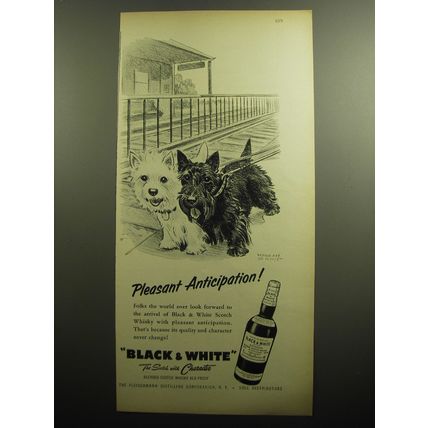 1958 Black & White Scotch Ad - art by Morgan Dennis - Pleasant Anticipation