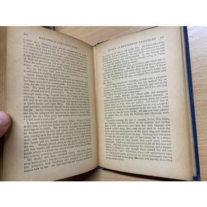 ANTIQUE E P ROE "THE OPENING OF A CHESTNUT BURR" FICTION BOOK (P3)