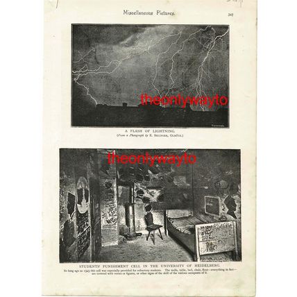 Military Swimming Drill, Berlin (Heidelberg Cell On Reverse), Book Illustration