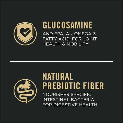 Purina Pro Plan Sensitive Skin and Stomach Dog Food Large Breed Salmon and Rice