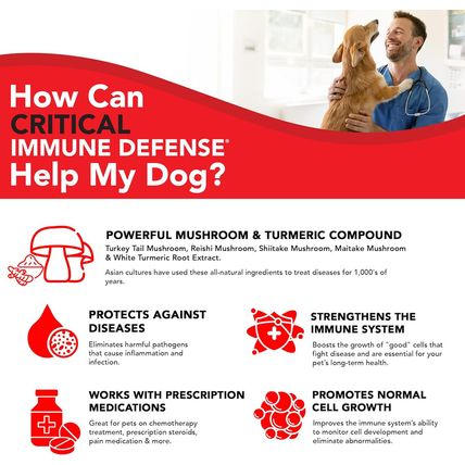 Critical Immune Defense for Dogs Supports Normal Cell Growth - Turkey Ta