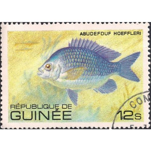 GUINEA, FISH, Abudefuf hoeffleri, yellow 1980, 12s