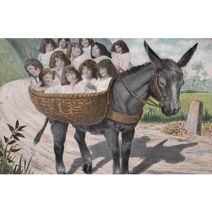 12 Children On A Overloaded Donkey Rides Antique Postcard