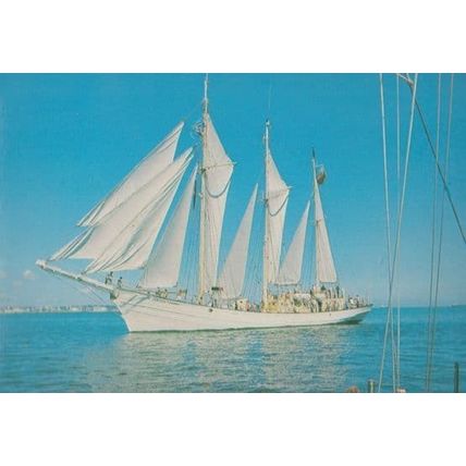Zawisza Czarny Boat Cutty Sark Tall Ships 1989 Postmark Race Postcard