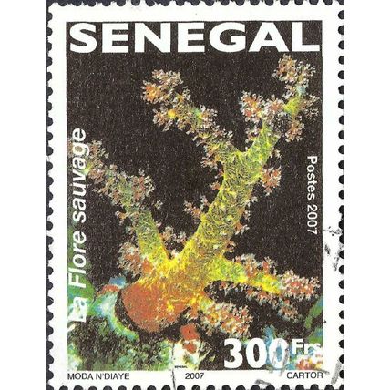 SENEGAL, Wild flora, black 2008, 300fr
