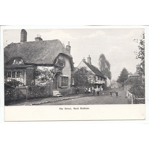 The Street Much Hadham Hertfordshire Postcard Tadman's Series