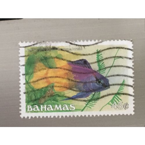 Bahamas QEII 1986 Fish 45c Fairy Basslet Used SG 766A Sc 612 postage stamp